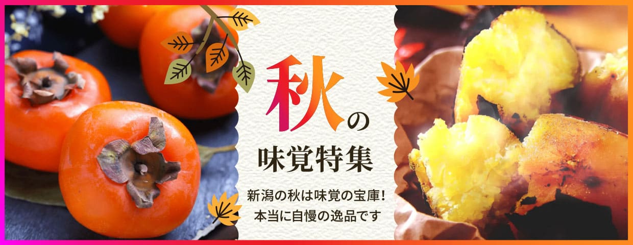 秋の特集