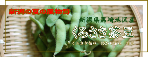 黒埼地区産くろさき茶豆