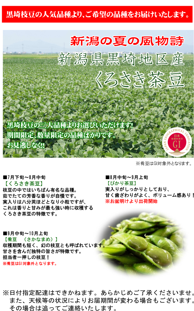 夏の風物詩 新潟県産 黒埼枝豆6kg 朝採りくろさき茶豆 ぴかり茶豆 肴豆をお選びいただけます お中元