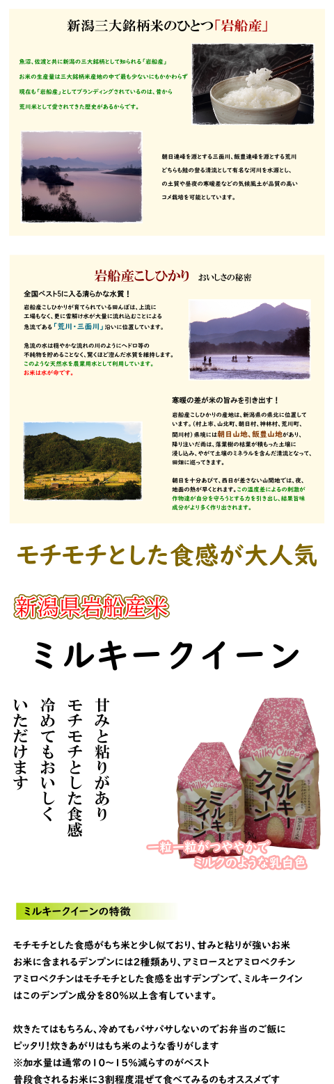 新潟県岩船産　ミルキークイーン