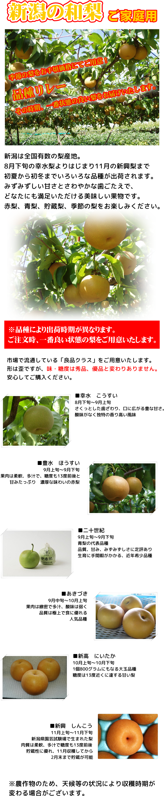 新潟県産 季節の梨 ご家庭用5kg 品種リレー 幸水 豊水 二十世紀 あきづき 新高 新興