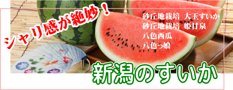 新潟市中央卸売市場より新潟産の安心 安全な旬の野菜 果物をお届けいたします 愛菜園倶楽部