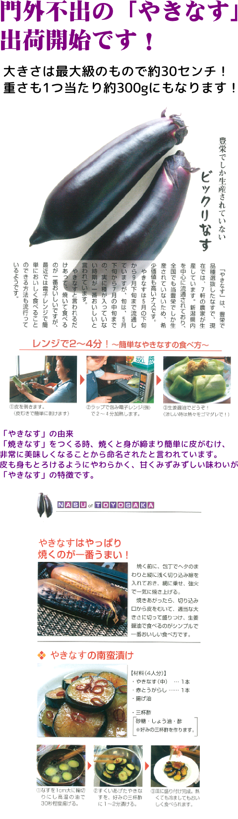 新潟県とよさか木崎地区産 やきなす 約5kg 新潟でしか生産されない逸品 6月中旬出荷開始