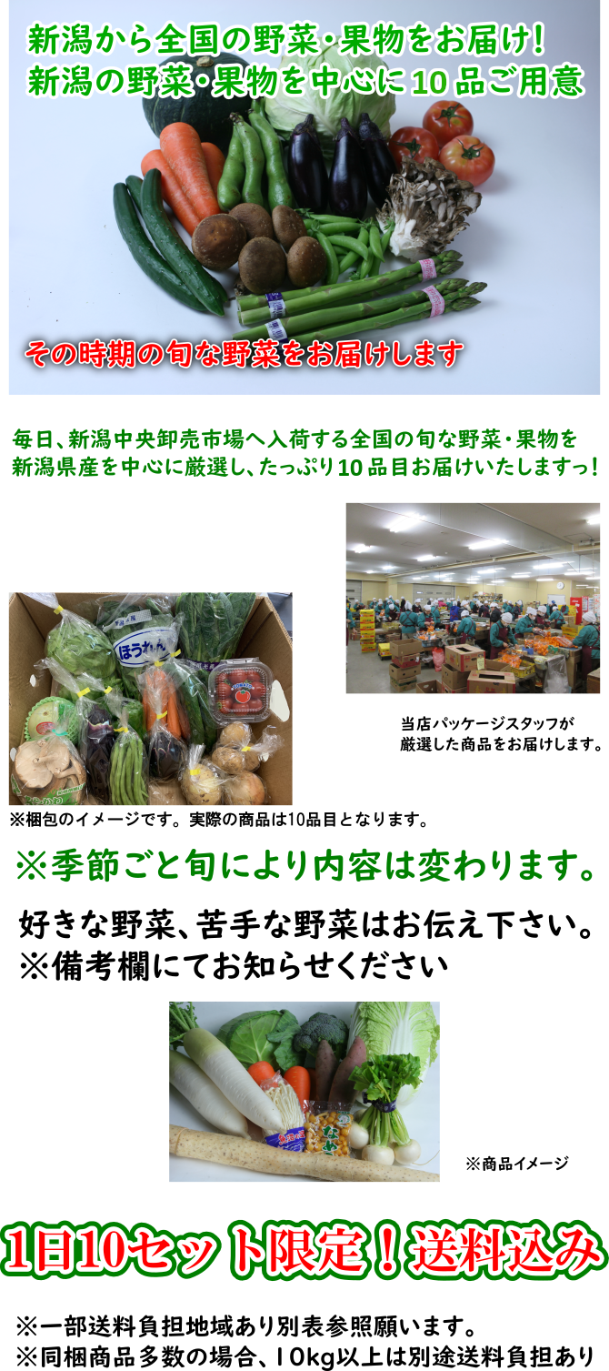 今が旬な野菜・果物15品セット　新潟産を中心に全国の定番旬野菜をお届け！