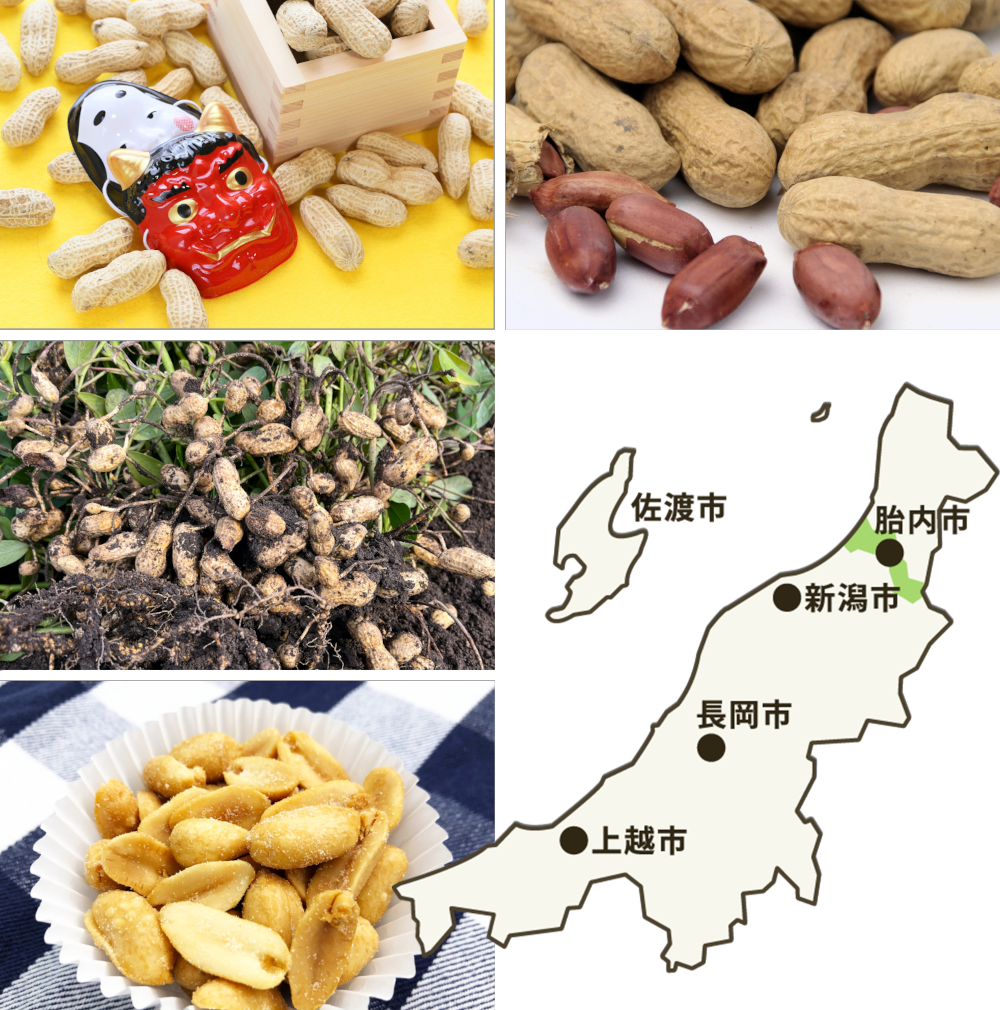ずもぐりPR